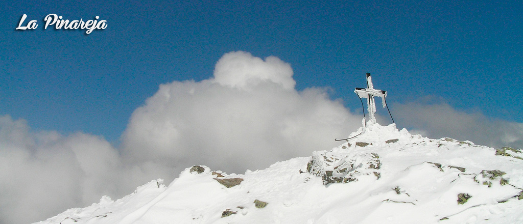pinareja